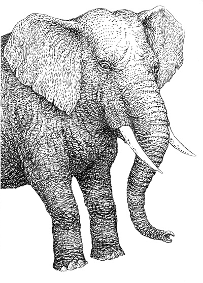 Однажды в Новом Мире Однажды в Новом Мире