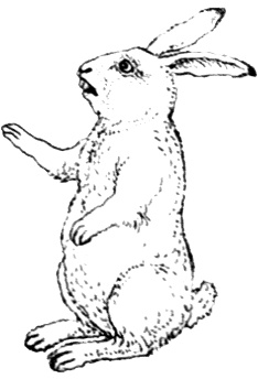 Однажды в Новом Мире Однажды в Новом Мире