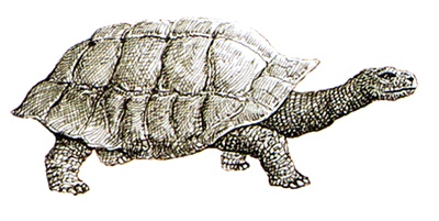 Однажды в Новом Мире Однажды в Новом Мире