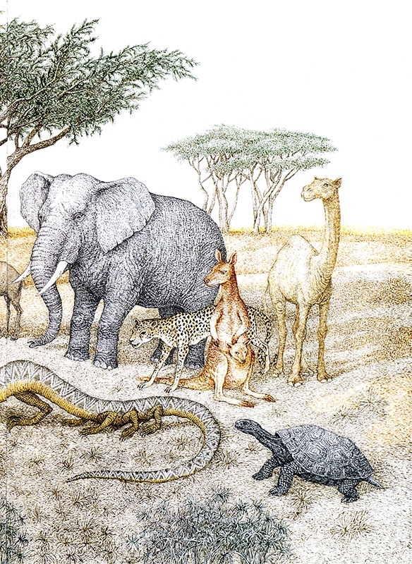 Однажды в Новом Мире Однажды в Новом Мире