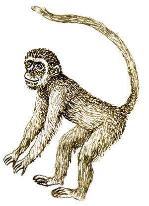 Однажды в Новом Мире Однажды в Новом Мире