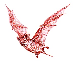 Однажды в Новом Мире Однажды в Новом Мире