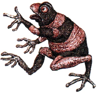 Однажды в Новом Мире Однажды в Новом Мире