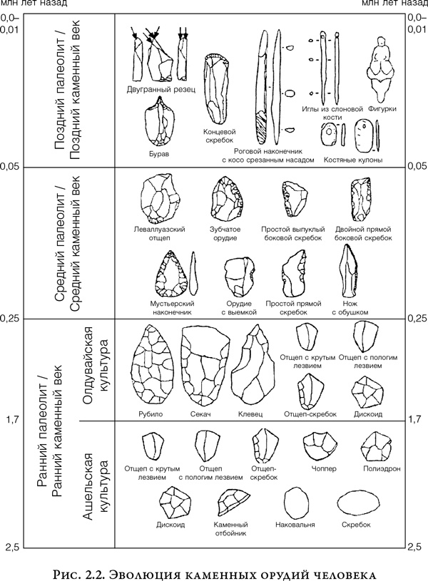 На заре человечества. Неизвестная история наших предков