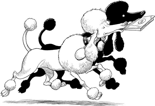 Юная леди Гот и грозовые псы Юная леди Гот и грозовые псы