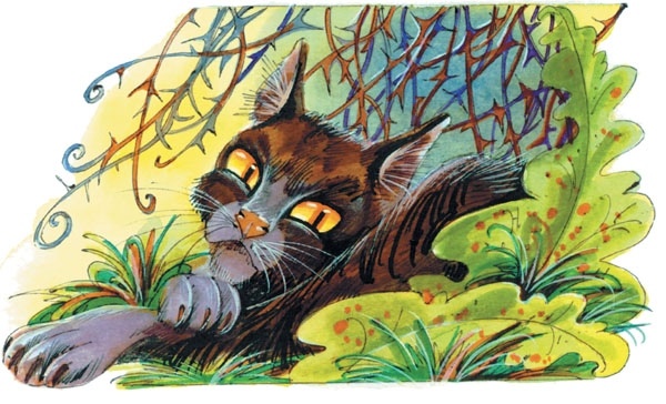 Битвы племен Битвы племен