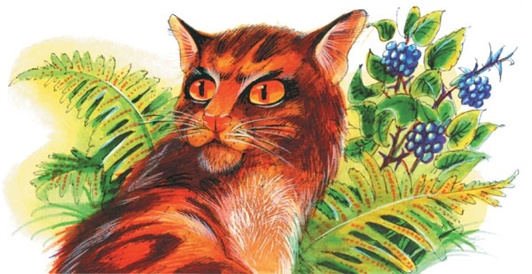 Битвы племен Битвы племен