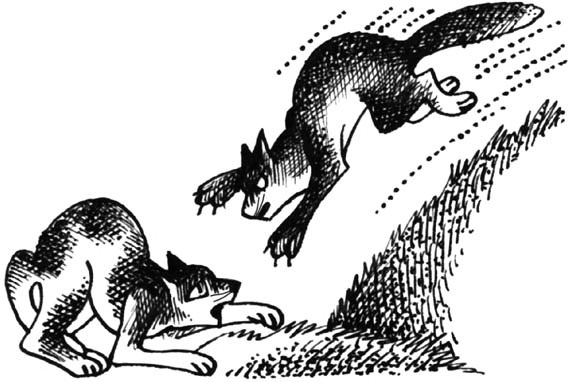 Битвы племен Битвы племен