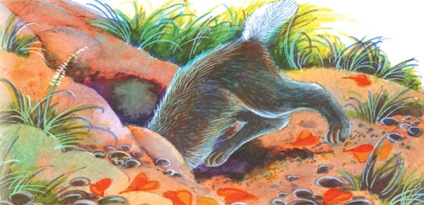 Битвы племен Битвы племен