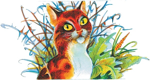 Битвы племен Битвы племен