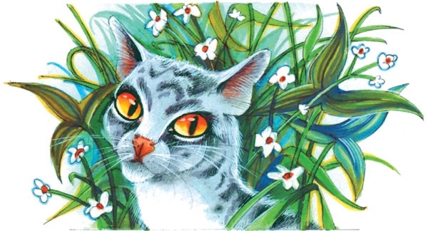 Битвы племен Битвы племен