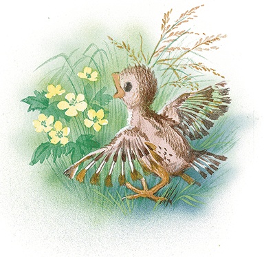 Маруся спешит на помощь. Кошечка. Воробей (сборник) Маруся спешит на помощь. Кошечка. Воробей (сборник)