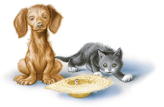 Маруся спешит на помощь. Кошечка. Воробей (сборник) Маруся спешит на помощь. Кошечка. Воробей (сборник)