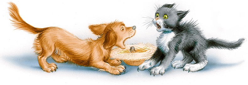 Маруся спешит на помощь. Кошечка. Воробей (сборник) Маруся спешит на помощь. Кошечка. Воробей (сборник)