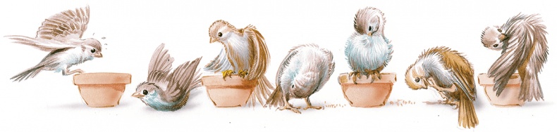 Маруся спешит на помощь. Кошечка. Воробей (сборник) Маруся спешит на помощь. Кошечка. Воробей (сборник)