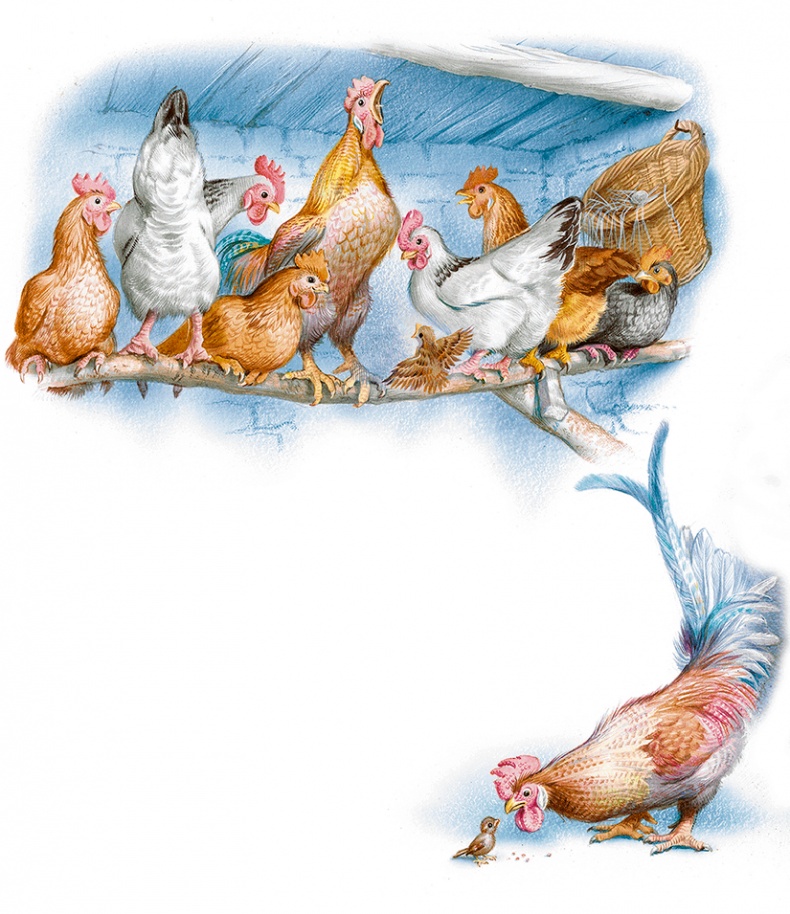 Маруся спешит на помощь. Кошечка. Воробей (сборник) Маруся спешит на помощь. Кошечка. Воробей (сборник)