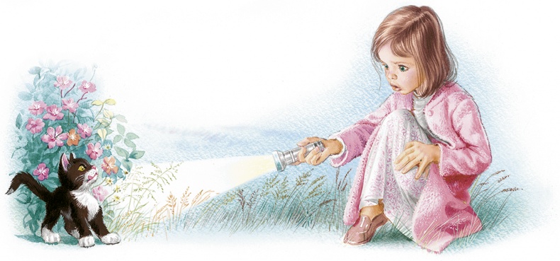 Маруся спешит на помощь. Кошечка. Воробей (сборник) Маруся спешит на помощь. Кошечка. Воробей (сборник)