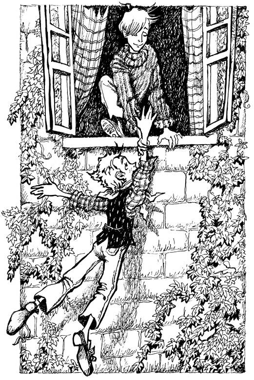 Огонь и заклятие, или Восемь дней с Люком