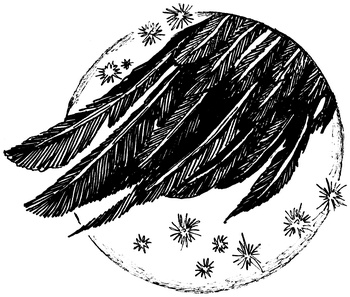 Огонь и заклятие, или Восемь дней с Люком