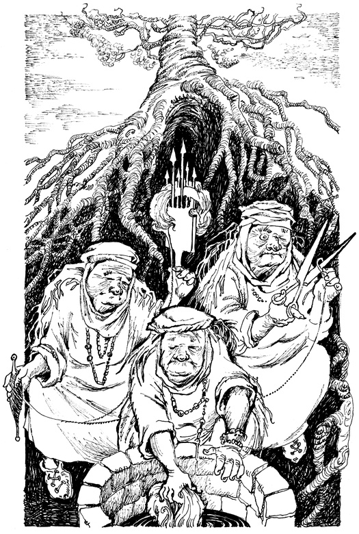 Огонь и заклятие, или Восемь дней с Люком