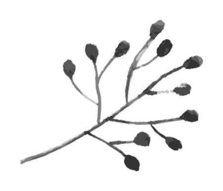 Время желаний Время желаний