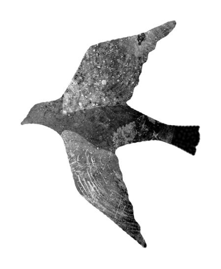 Время желаний Время желаний