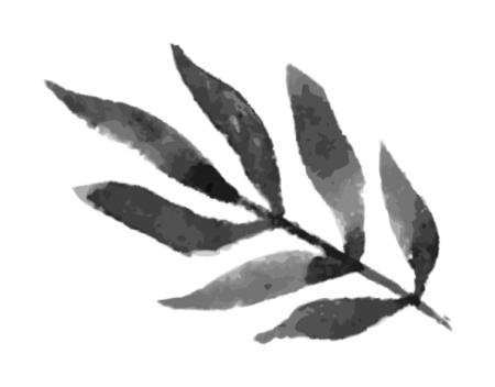 Время желаний Время желаний