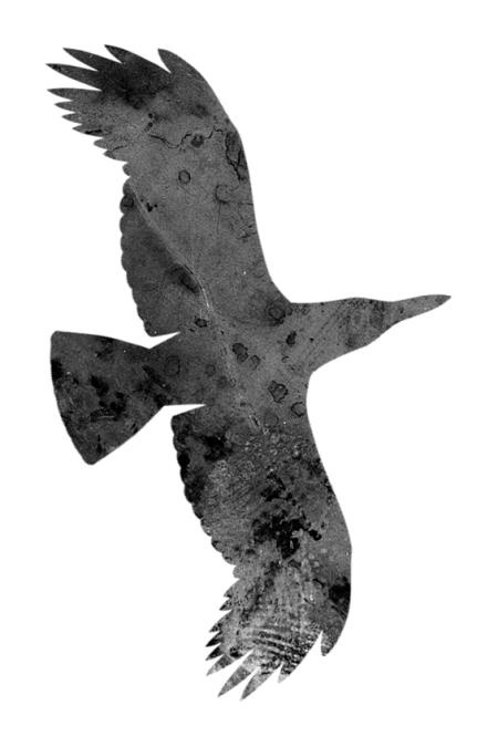 Время желаний Время желаний