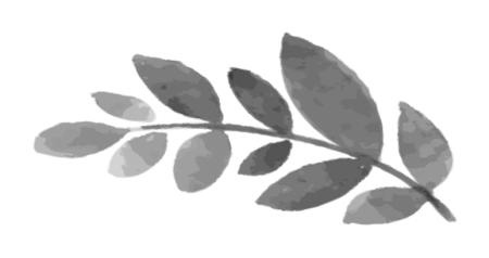 Время желаний Время желаний