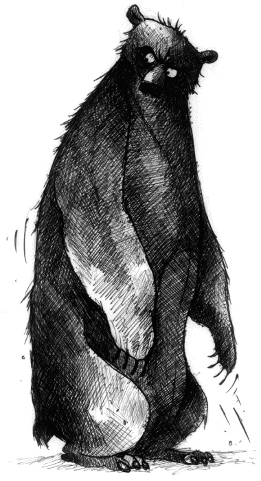 Мальчик по имени Рождество Мальчик по имени Рождество