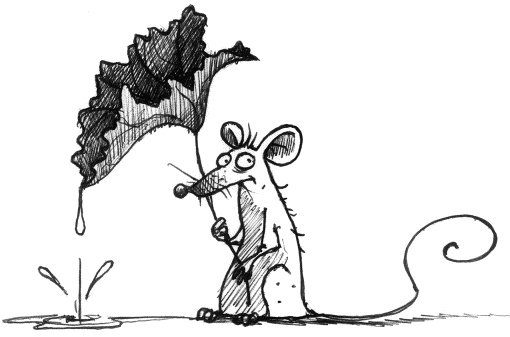 Мальчик по имени Рождество Мальчик по имени Рождество