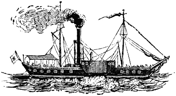 Умышленное убийство