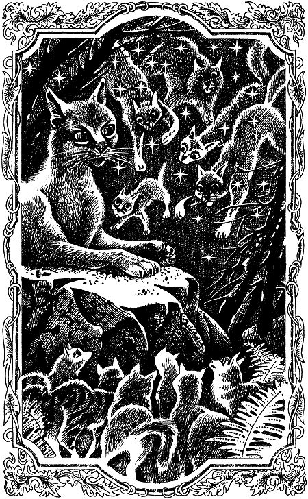 Пророчество Синей Звезды. Выбор Пророчество Синей Звезды. Выбор