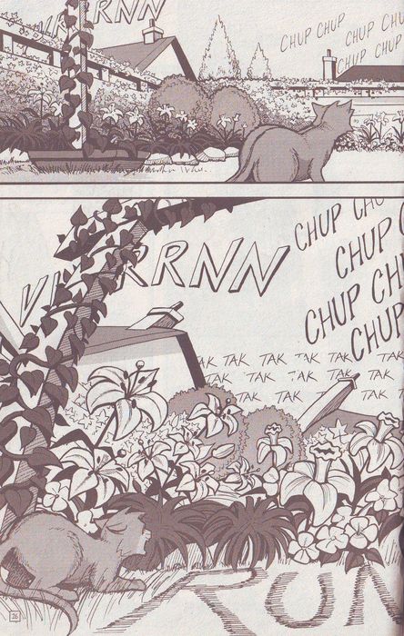 Манга «Потеряный воин» Манга «Потеряный воин»