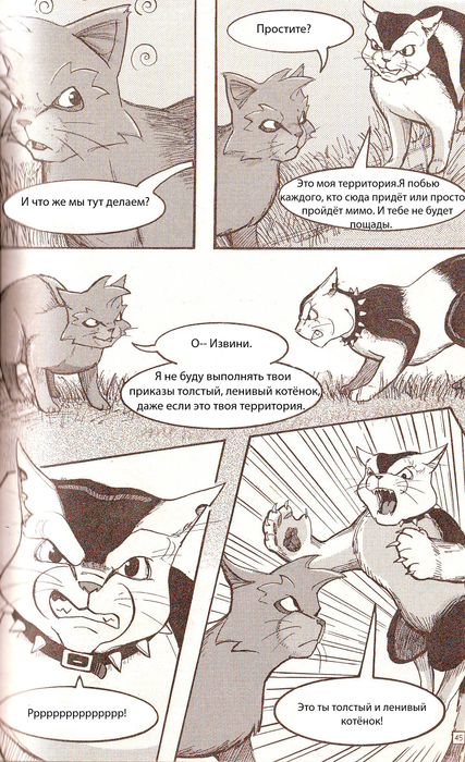 Манга «Потеряный воин» Манга «Потеряный воин»