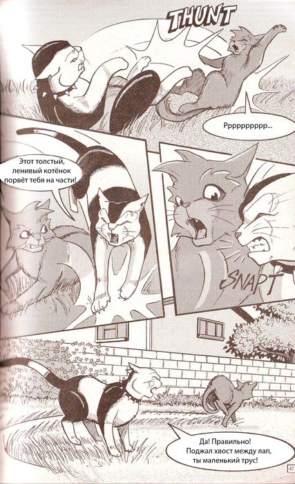 Манга «Потеряный воин» Манга «Потеряный воин»