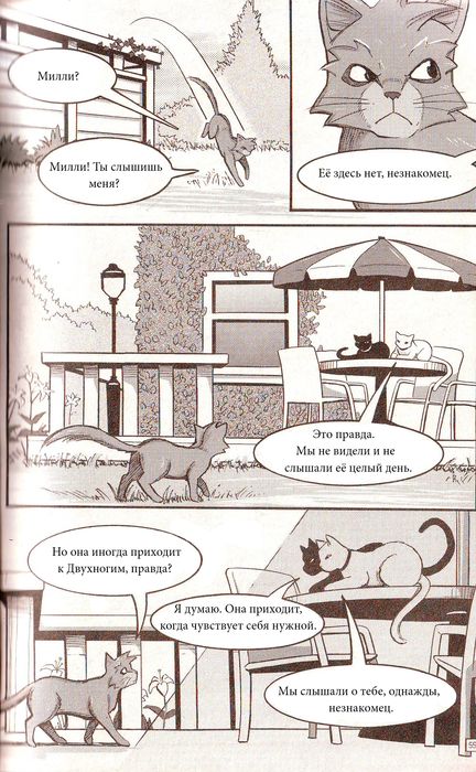 Манга «Потеряный воин» Манга «Потеряный воин»