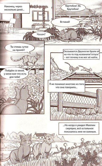 Манга «Потеряный воин» Манга «Потеряный воин»