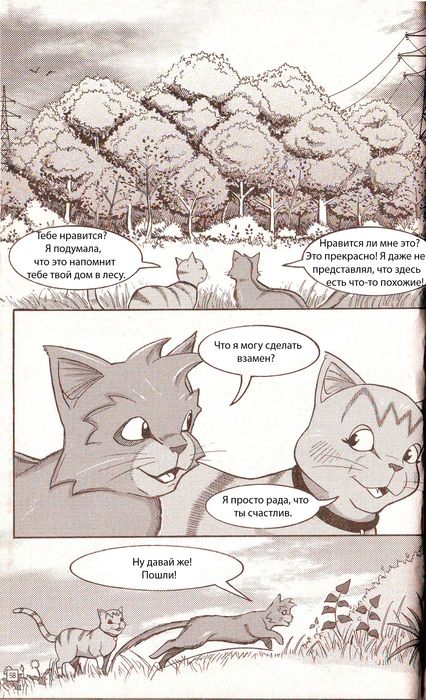 Манга «Потеряный воин» Манга «Потеряный воин»