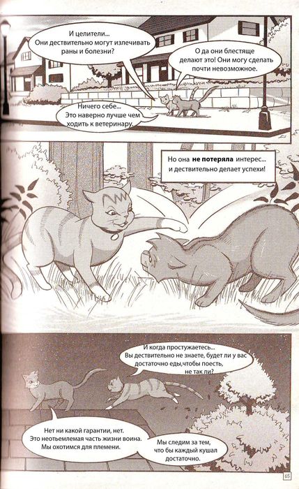 Манга «Потеряный воин» Манга «Потеряный воин»