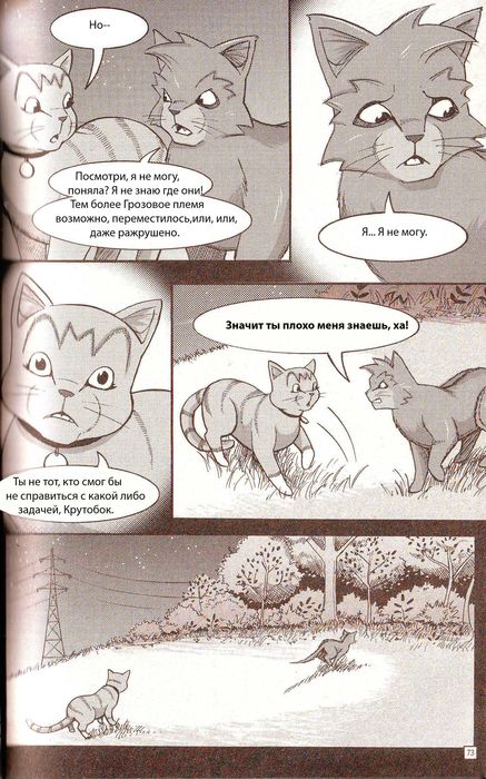 Манга «Потеряный воин» Манга «Потеряный воин»