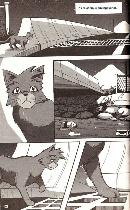 Манга «Потеряный воин» Манга «Потеряный воин»