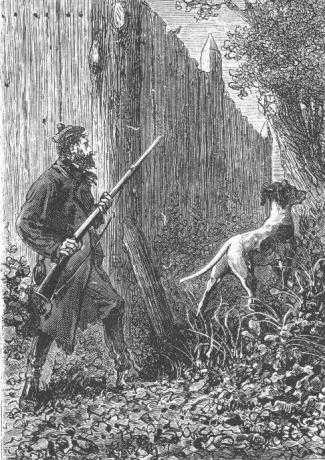 Таинственный остров