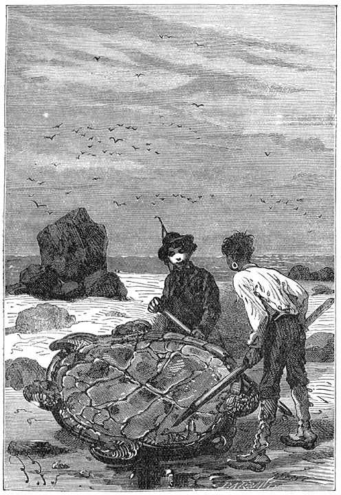 Таинственный остров