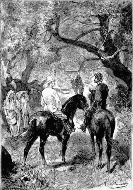 Кловис Дардантор