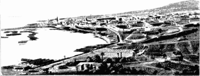 Агентство «Томпсон и K°» Агентство «Томпсон и K°»