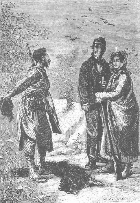 В стране мехов