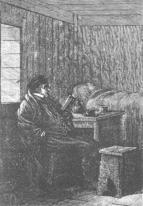 В стране мехов