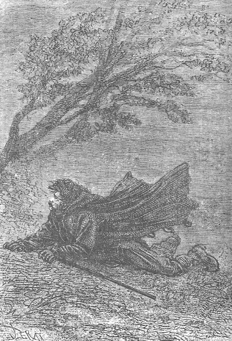 В стране мехов В стране мехов