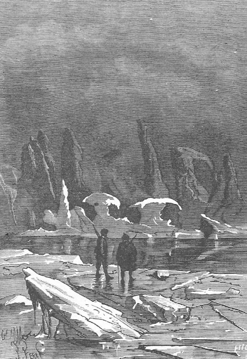 В стране мехов В стране мехов